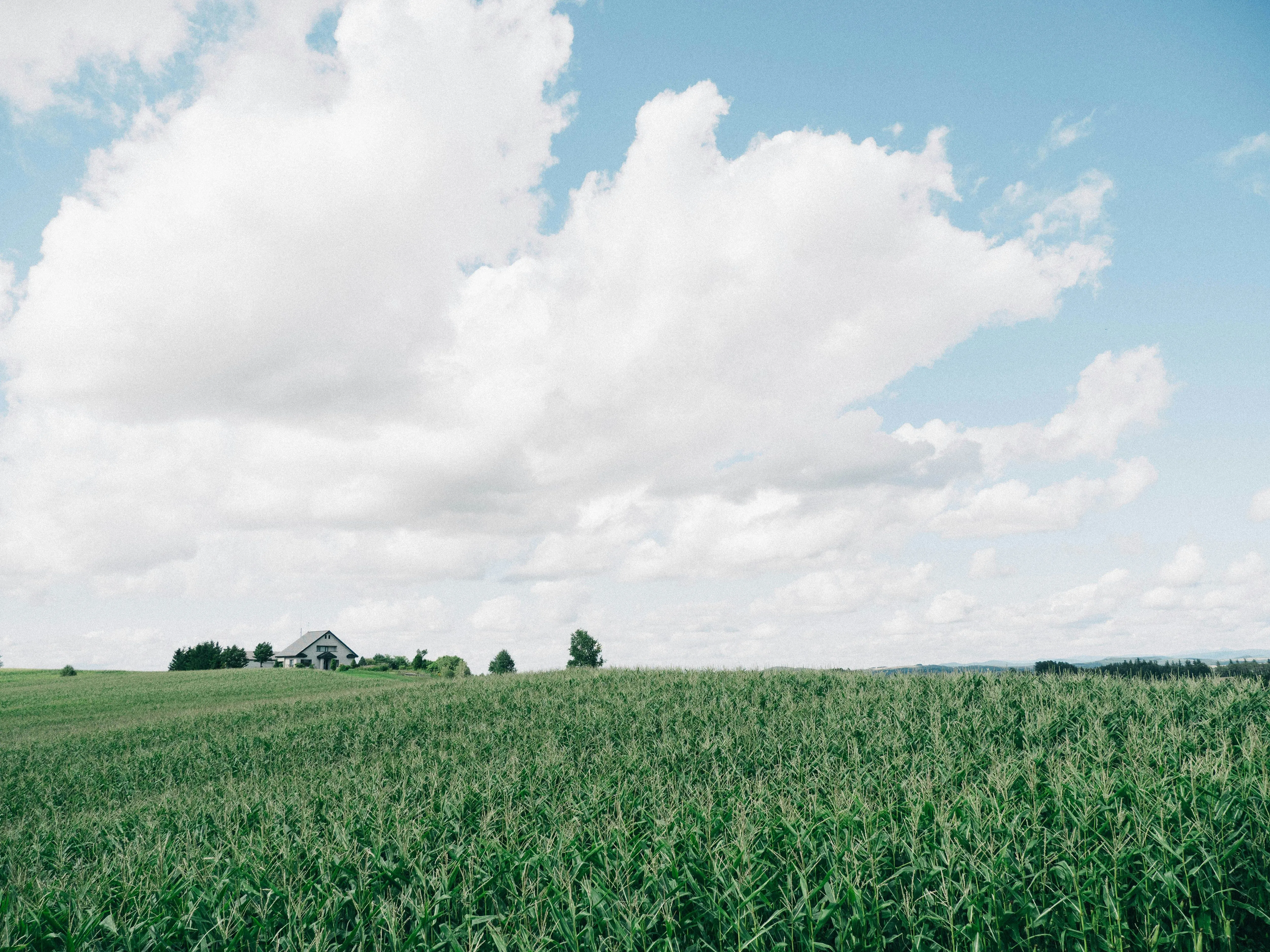 Site cover image